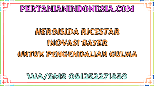 Herbisida Ricestar Inovasi Bayer Untuk Pengendalian Gulma